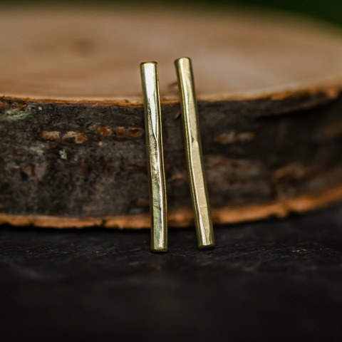 Brassy Lines Earrings